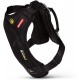 EzyDog Drive Harness Large, L EzyDog Drive Harness Large, L