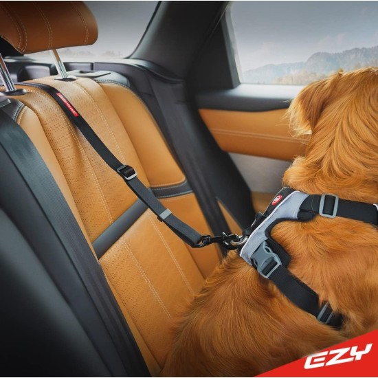 Ezydog - Click Dog Seat Belt Isofix M - (605.0744) Ezydog - Click Dog Seat Belt Isofix M - (605.0744)