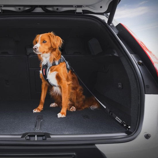 Ezydog - Click Dog Seat Belt Isofix M - (605.0744) Ezydog - Click Dog Seat Belt Isofix M - (605.0744)