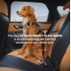 Ezydog - Click Dog Seat Belt Isofix M - (605.0744) Ezydog - Click Dog Seat Belt Isofix M - (605.0744)