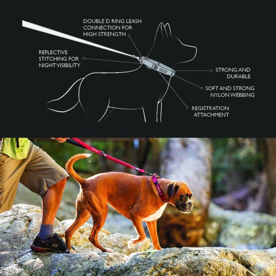 Ezydog Double Up Dog Collar for Small, Medium and Large Dogs, Reflective, Highest Comfort, Soft Neoprene Material, Strong Nylon Webbing (Small, Corduroy) Ezydog Double Up Dog Collar for Small, Medium and Large Dogs, Reflective, Highest Comfort, Soft Neoprene Material, Strong Nylon Webbing (Small, Corduroy)
