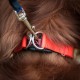 Ezydog Double Up Dog Collar for Small, Medium and Large Dogs, Reflective, Highest Comfort, Soft Neoprene Material, Strong Nylon Webbing (Small, Corduroy) Ezydog Double Up Dog Collar for Small, Medium and Large Dogs, Reflective, Highest Comfort, Soft Neoprene Material, Strong Nylon Webbing (Small, Corduroy)