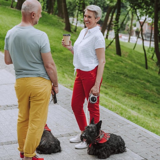 FLEXI New Comfort Retractable Dog Leash (Band), Ergonomic, Durable and Tangle-Free, for Dogs up to 15 kg, 4.8 metres, Small, Grey/Black FLEXI New Comfort Retractable Dog Leash (Band), Ergonomic, Durable and Tangle-Free, for Dogs up to 15 kg, 4.8 metres, Small, Grey/Black