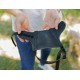 Ferplast 75581917 Adjustable Padded Muzzle Safe Small A: 9.5 cm B: 14-20 cm C: 30-37 cm Black Ferplast 75581917 Adjustable Padded Muzzle Safe Small A: 9.5 cm B: 14-20 cm C: 30-37 cm Black