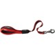 Ferplast ERGOCOMFORT GM25/55 kurze Hundeleine aus Nylon, ergonomischer Griff, weiche Polsterung, Länge 55 cm x 2,5 cm, Silber Ferplast ERGOCOMFORT GM25/55 kurze Hundeleine aus Nylon, ergonomischer Griff, weiche Polsterung, Länge 55 cm x 2,5 cm, Silber