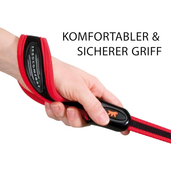 Ferplast ERGOCOMFORT GM25/55 kurze Hundeleine aus Nylon, ergonomischer Griff, weiche Polsterung, Länge 55 cm x 2,5 cm, Silber Ferplast ERGOCOMFORT GM25/55 kurze Hundeleine aus Nylon, ergonomischer Griff, weiche Polsterung, Länge 55 cm x 2,5 cm, Silber