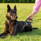 Ferplast Flippy ONE Reflex Reflective Dog Lead for Medium Dogs up to 20 kg Extendable Cord Max 5 m Single Button for Locking and Unlocking Green Ferplast Flippy ONE Reflex Reflective Dog Lead for Medium Dogs up to 20 kg Extendable Cord Max 5 m Single Button for Locking and Unlocking Green