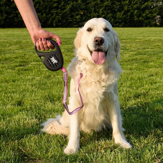 Ferplast Flippy ONE Reflex Reflective Dog Lead for Medium Dogs up to 20 kg Extendable Cord Max 5 m Single Button for Locking and Unlocking Green Ferplast Flippy ONE Reflex Reflective Dog Lead for Medium Dogs up to 20 kg Extendable Cord Max 5 m Single Button for Locking and Unlocking Green