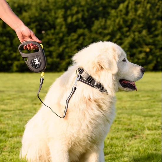 Ferplast Flippy ONE Reflex Reflective Dog Lead for Medium Dogs up to 20 kg Extendable Cord Max 5 m Single Button for Locking and Unlocking Green Ferplast Flippy ONE Reflex Reflective Dog Lead for Medium Dogs up to 20 kg Extendable Cord Max 5 m Single Button for Locking and Unlocking Green