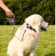 Ferplast Flippy ONE Reflex Reflective Dog Lead for Medium Dogs up to 20 kg Extendable Cord Max 5 m Single Button for Locking and Unlocking Green Ferplast Flippy ONE Reflex Reflective Dog Lead for Medium Dogs up to 20 kg Extendable Cord Max 5 m Single Button for Locking and Unlocking Green