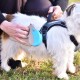 Ferplast Hundeleine AMIGO MINI, Rollleine kleine Hunde bis 12 kg. Schnur max. 3 m. Einzelne Verriegelungs- und Entriegelungstaste, schwarz, schwarze Abdeckung Ferplast Hundeleine AMIGO MINI, Rollleine kleine Hunde bis 12 kg. Schnur max. 3 m. Einzelne Verriegelungs- und Entriegelungstaste, schwarz, schwarze Abdeckung