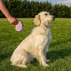 Ferplast Hundeleine AMIGO MINI, Rollleine kleine Hunde bis 12 kg. Schnur max. 3 m. Einzelne Verriegelungs- und Entriegelungstaste, schwarz, schwarze Abdeckung Ferplast Hundeleine AMIGO MINI, Rollleine kleine Hunde bis 12 kg. Schnur max. 3 m. Einzelne Verriegelungs- und Entriegelungstaste, schwarz, schwarze Abdeckung