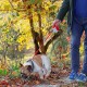 Ferplast Hundeleine AMIGO MINI, Rollleine kleine Hunde bis 12 kg. Schnur max. 3 m. Einzelne Verriegelungs- und Entriegelungstaste, schwarz, schwarze Abdeckung Ferplast Hundeleine AMIGO MINI, Rollleine kleine Hunde bis 12 kg. Schnur max. 3 m. Einzelne Verriegelungs- und Entriegelungstaste, schwarz, schwarze Abdeckung