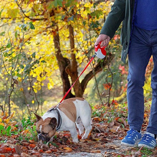 Ferplast Hundeleine AMIGO MINI, Rollleine kleine Hunde bis 12 kg. Schnur max. 3 m. Einzelne Verriegelungs- und Entriegelungstaste, schwarz, schwarze Abdeckung Ferplast Hundeleine AMIGO MINI, Rollleine kleine Hunde bis 12 kg. Schnur max. 3 m. Einzelne Verriegelungs- und Entriegelungstaste, schwarz, schwarze Abdeckung