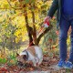 Ferplast Hundeleine AMIGO MINI, Rollleine kleine Hunde bis 12 kg. Schnur max. 3 m. Einzelne Verriegelungs- und Entriegelungstaste, schwarz, schwarze Abdeckung Ferplast Hundeleine AMIGO MINI, Rollleine kleine Hunde bis 12 kg. Schnur max. 3 m. Einzelne Verriegelungs- und Entriegelungstaste, schwarz, schwarze Abdeckung