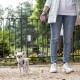 Ferplast Hundeleine FLIPPY ONE, Rollleine kleine Hunde bis 8 kg. Ausziehbare Schnur max. 3 m. Einzelner Verriegelungs- und Entriegelungsknopf, schwarz Ferplast Hundeleine FLIPPY ONE, Rollleine kleine Hunde bis 8 kg. Ausziehbare Schnur max. 3 m. Einzelner Verriegelungs- und Entriegelungsknopf, schwarz