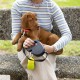 Ferplast Hundeleine FLIPPY ONE, Rollleine kleine Hunde bis 8 kg. Ausziehbare Schnur max. 3 m. Einzelner Verriegelungs- und Entriegelungsknopf, schwarz Ferplast Hundeleine FLIPPY ONE, Rollleine kleine Hunde bis 8 kg. Ausziehbare Schnur max. 3 m. Einzelner Verriegelungs- und Entriegelungsknopf, schwarz