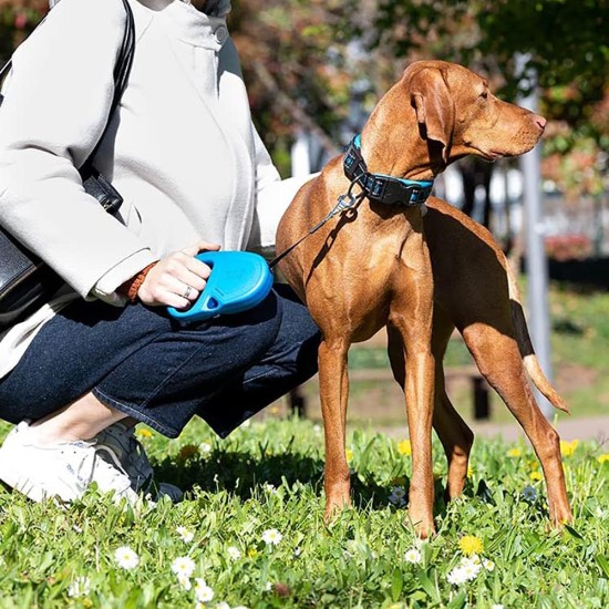 Ferplast Hundeleine FLIPPY ONE, Rollleine kleine Hunde bis 8 kg. Ausziehbare Schnur max. 3 m. Einzelner Verriegelungs- und Entriegelungsknopf, schwarz Ferplast Hundeleine FLIPPY ONE, Rollleine kleine Hunde bis 8 kg. Ausziehbare Schnur max. 3 m. Einzelner Verriegelungs- und Entriegelungsknopf, schwarz