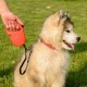 Ferplast Hundeleine FLIPPY ONE, Rollleine kleine Hunde bis 8 kg. Ausziehbare Schnur max. 3 m. Einzelner Verriegelungs- und Entriegelungsknopf, schwarz Ferplast Hundeleine FLIPPY ONE, Rollleine kleine Hunde bis 8 kg. Ausziehbare Schnur max. 3 m. Einzelner Verriegelungs- und Entriegelungsknopf, schwarz