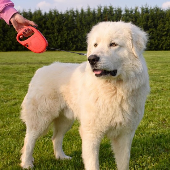 Ferplast Hundeleine FLIPPY ONE, Rollleine kleine Hunde bis 8 kg. Ausziehbare Schnur max. 3 m. Einzelner Verriegelungs- und Entriegelungsknopf, schwarz Ferplast Hundeleine FLIPPY ONE, Rollleine kleine Hunde bis 8 kg. Ausziehbare Schnur max. 3 m. Einzelner Verriegelungs- und Entriegelungsknopf, schwarz