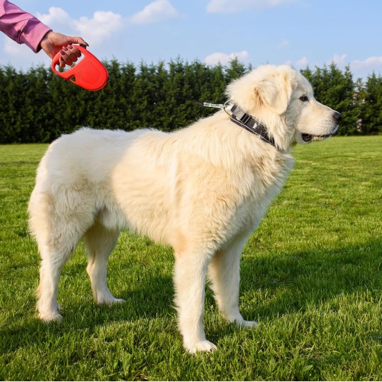 Ferplast Hundeleine FLIPPY ONE, Rollleine kleine Hunde bis 8 kg. Ausziehbare Schnur max. 3 m. Einzelner Verriegelungs- und Entriegelungsknopf, schwarz Ferplast Hundeleine FLIPPY ONE, Rollleine kleine Hunde bis 8 kg. Ausziehbare Schnur max. 3 m. Einzelner Verriegelungs- und Entriegelungsknopf, schwarz
