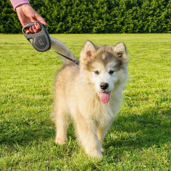 Ferplast Hundeleine FLIPPY ONE, Rollleine kleine Hunde bis 8 kg. Ausziehbare Schnur max. 3 m. Einzelner Verriegelungs- und Entriegelungsknopf, schwarz Ferplast Hundeleine FLIPPY ONE, Rollleine kleine Hunde bis 8 kg. Ausziehbare Schnur max. 3 m. Einzelner Verriegelungs- und Entriegelungsknopf, schwarz