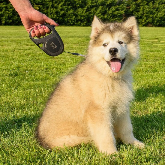 Ferplast Hundeleine FLIPPY ONE, Rollleine kleine Hunde bis 8 kg. Ausziehbare Schnur max. 3 m. Einzelner Verriegelungs- und Entriegelungsknopf, schwarz Ferplast Hundeleine FLIPPY ONE, Rollleine kleine Hunde bis 8 kg. Ausziehbare Schnur max. 3 m. Einzelner Verriegelungs- und Entriegelungsknopf, schwarz