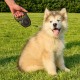 Ferplast Hundeleine FLIPPY ONE, Rollleine kleine Hunde bis 8 kg. Ausziehbare Schnur max. 3 m. Einzelner Verriegelungs- und Entriegelungsknopf, schwarz Ferplast Hundeleine FLIPPY ONE, Rollleine kleine Hunde bis 8 kg. Ausziehbare Schnur max. 3 m. Einzelner Verriegelungs- und Entriegelungsknopf, schwarz