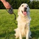 Ferplast Hundeleine FLIPPY TECH, Rollleine große Hunde bis 50 kg. Ausziehbares Gurtband max. 5 m. Einzelner Verriegelungs- und Entriegelungsknopf, schwarz Ferplast Hundeleine FLIPPY TECH, Rollleine große Hunde bis 50 kg. Ausziehbares Gurtband max. 5 m. Einzelner Verriegelungs- und Entriegelungsknopf, schwarz