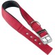 Ferplast Zgarda Daytona C 1.5X35 cm Rosu Ferplast Zgarda Daytona C 1.5X35 cm Rosu