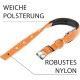 Ferplast Zgarda Daytona C 1.5X35 cm Rosu Ferplast Zgarda Daytona C 1.5X35 cm Rosu