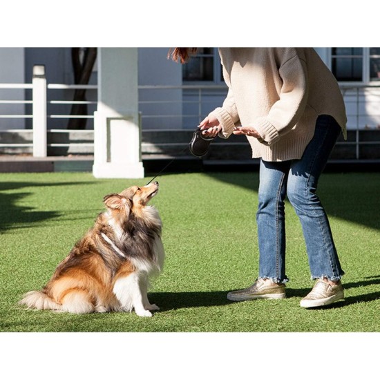 Fida Retractable Dog Leash, 16 ft Dog Walking Leash for Small Dogs up to 26lbs, 360¡ã Tangle Coffee/Brown Fida Retractable Dog Leash, 16 ft Dog Walking Leash for Small Dogs up to 26lbs, 360¡ã Tangle Coffee/Brown