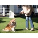 Fida Retractable Dog Leash, 16 ft Dog Walking Leash for Small Dogs up to 26lbs, 360¡ã Tangle Coffee/Brown Fida Retractable Dog Leash, 16 ft Dog Walking Leash for Small Dogs up to 26lbs, 360¡ã Tangle Coffee/Brown