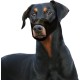 Flamingo Nylon Muzzle for Dogs 39-51cm Size XS (15cm)