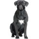 Flamingo Nylon Muzzle for Dogs 39-51cm Size XS (15cm) Flamingo Nylon Muzzle for Dogs 39-51cm Size XS (15cm)