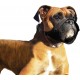Flamingo Spec Nylon Muzzle for Dogs 32 cm 71 cm Flamingo Spec Nylon Muzzle for Dogs 32 cm 71 cm