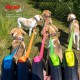 Flexi New Classic L Strap 8 m black for dogs up to 50 kg Flexi New Classic L Strap 8 m black for dogs up to 50 kg