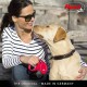 Flexi New Classic L Strap 8 m black for dogs up to 50 kg Flexi New Classic L Strap 8 m black for dogs up to 50 kg