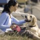 Flexi New Classic L Strap 8 m black for dogs up to 50 kg Flexi New Classic L Strap 8 m black for dogs up to 50 kg