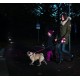 Flexi New Classic L Strap 8 m black for dogs up to 50 kg Flexi New Classic L Strap 8 m black for dogs up to 50 kg