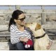Flexi New Classic L Strap 8 m black for dogs up to 50 kg Flexi New Classic L Strap 8 m black for dogs up to 50 kg
