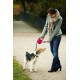 Flexi New Classic L Strap 8 m black for dogs up to 50 kg Flexi New Classic L Strap 8 m black for dogs up to 50 kg