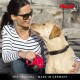 Flexi New Classic S Lead, for Dogs up to 15 kg, 5 m, Black Flexi New Classic S Lead, for Dogs up to 15 kg, 5 m, Black