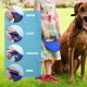 FurDreams Retractable Dog Leash - Heavy Duty Extendable (5m) Lead | Non-Slip Handle with Locking Control | Strong Tangle-Free Nylon Strap & Collar Hook (Blue, Large)