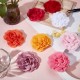 GORGECRAFT Pack of 8 8 Colours Flower Collar Pendant for Pets Colourful Polyester Flower Bows Ties Ornaments Flower Pendant for Puppies Cats Dogs Collars Grooming Decorations Accessories GORGECRAFT Pack of 8 8 Colours Flower Collar Pendant for Pets Colourful Polyester Flower Bows Ties Ornaments Flower Pendant for Puppies Cats Dogs Collars Grooming Decorations Accessories