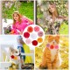 GORGECRAFT Pack of 8 8 Colours Flower Collar Pendant for Pets Colourful Polyester Flower Bows Ties Ornaments Flower Pendant for Puppies Cats Dogs Collars Grooming Decorations Accessories GORGECRAFT Pack of 8 8 Colours Flower Collar Pendant for Pets Colourful Polyester Flower Bows Ties Ornaments Flower Pendant for Puppies Cats Dogs Collars Grooming Decorations Accessories