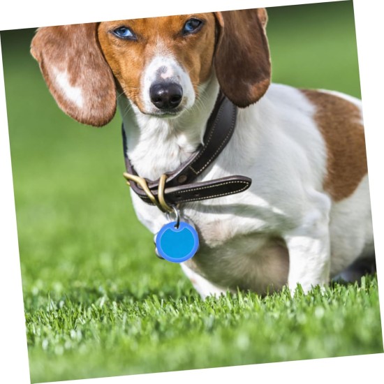 GRIRIW Silicone Dog Tag Protection Rings for Military Collars, Noise-Reducing Name Plate Covers for Pets Pack of 15 GRIRIW Silicone Dog Tag Protection Rings for Military Collars, Noise-Reducing Name Plate Covers for Pets Pack of 15