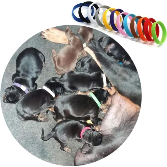 GTIWUNG Pack of 15 Adjustable Puppy ID Bands Collars Puppy Kitten ID Collars Dog Identification Dog Tags 10 x 200 mm GTIWUNG Pack of 15 Adjustable Puppy ID Bands Collars Puppy Kitten ID Collars Dog Identification Dog Tags 10 x 200 mm