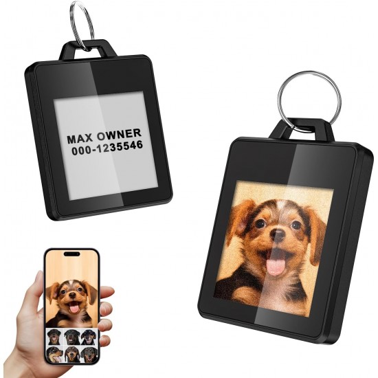 GUOMIS Personalisierte hundemarke,Adressanhänger hund,hundehalsband anhänger,Hundemarke mit gravur,Benutzerdefinierte Bearbeitungsinhalte,Tiermarke für Hunde, Katzen GUOMIS Personalisierte hundemarke,Adressanhänger hund,hundehalsband anhänger,Hundemarke mit gravur,Benutzerdefinierte Bearbeitungsinhalte,Tiermarke für Hunde, Katzen