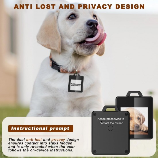 GUOMIS Personalisierte hundemarke,Adressanhänger hund,hundehalsband anhänger,Hundemarke mit gravur,Benutzerdefinierte Bearbeitungsinhalte,Tiermarke für Hunde, Katzen GUOMIS Personalisierte hundemarke,Adressanhänger hund,hundehalsband anhänger,Hundemarke mit gravur,Benutzerdefinierte Bearbeitungsinhalte,Tiermarke für Hunde, Katzen